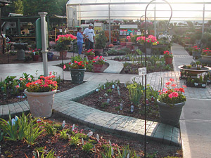 Concrete Stamped Walkway